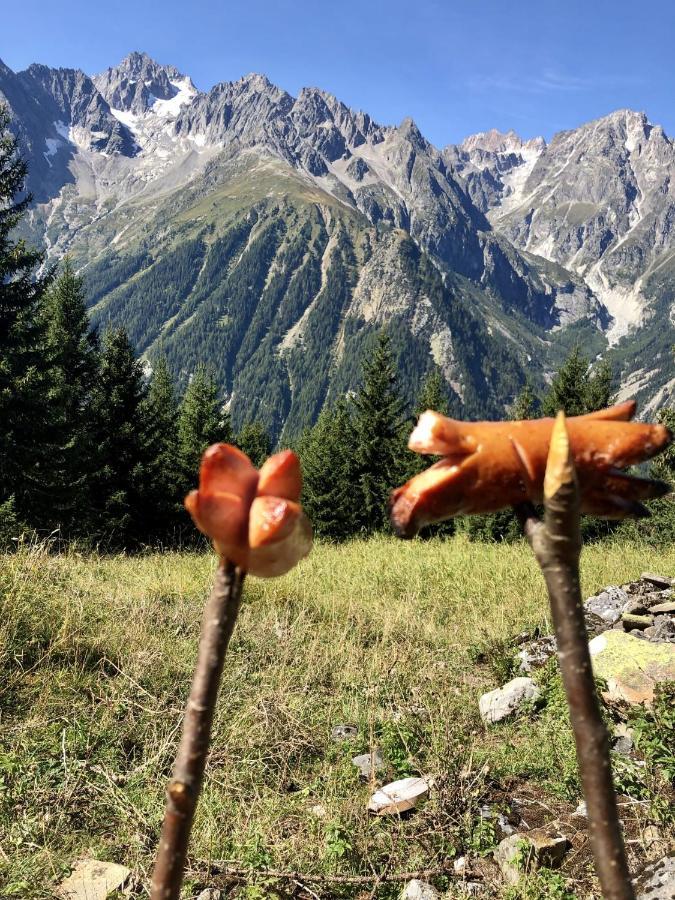 Chez Pierre Apartman Praz-de-Fort Kültér fotó