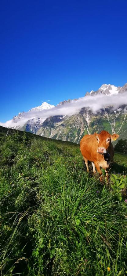 Chez Pierre Apartman Praz-de-Fort Kültér fotó